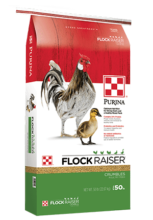 Products_Flock_FlockRaiser-Crumbles_50-lb-min